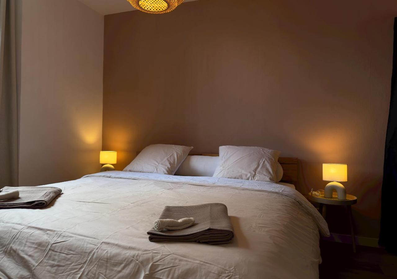 French Loft - Central & Comfy Annecy Eksteriør billede